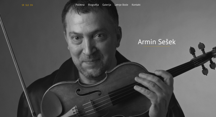 Armin Sešek, prezentacija profesora violine.