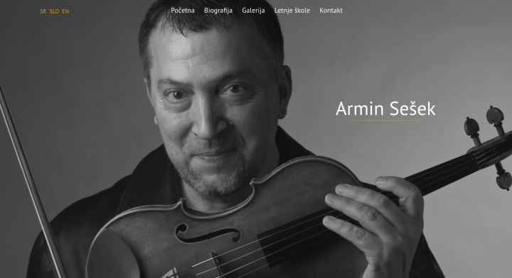 Armin Sešek, prezentacija profesora violine